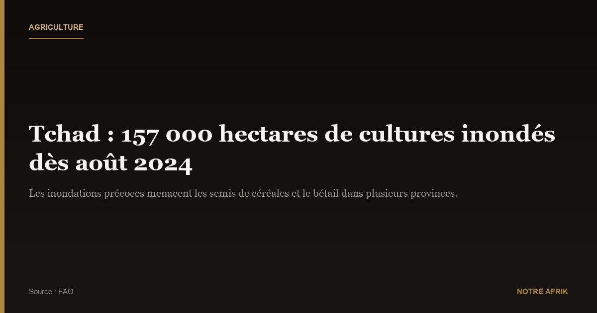 Tchad : la production agricole menacée par les inondations