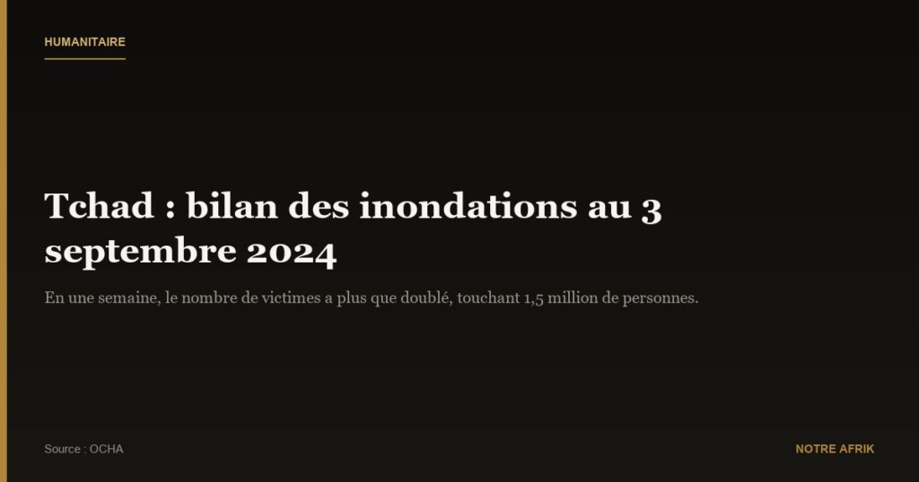 Tchad : les inondations font 341 décès en une semaine 