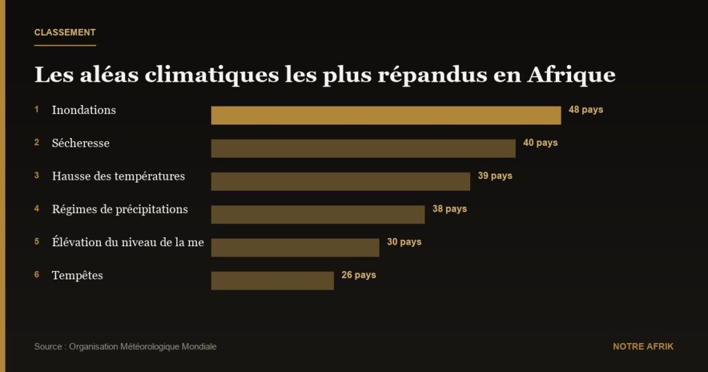 Changement climatique : l'Afrique perd entre 2 et 5 % de son PIB