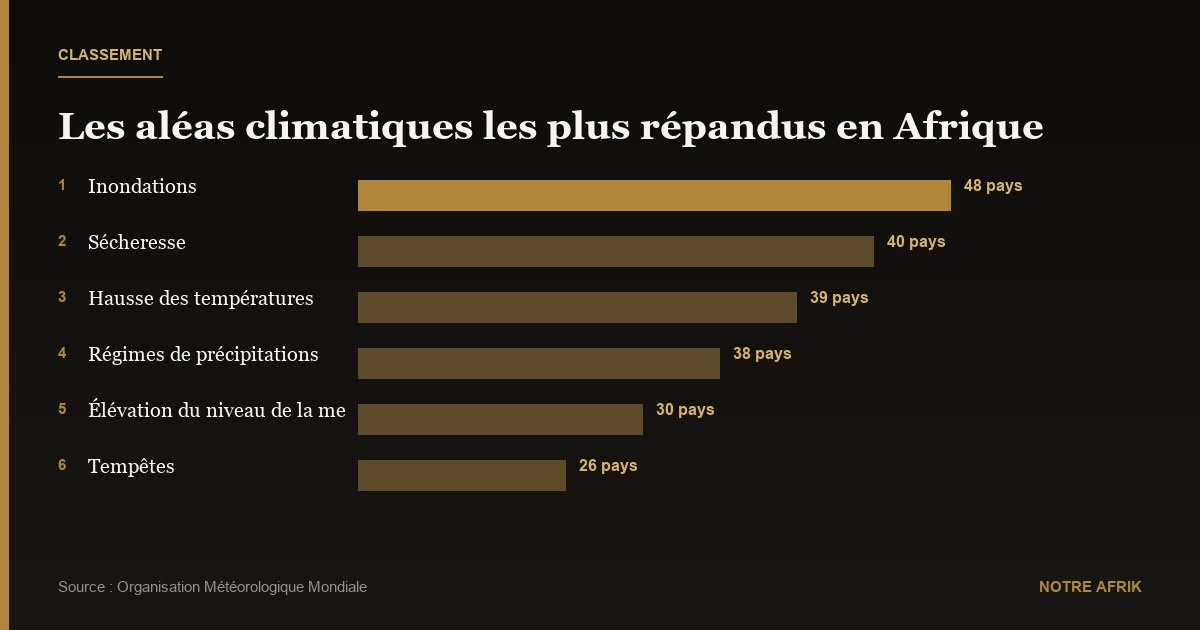 Changement climatique : l'Afrique perd entre 2 et 5 % de son PIB