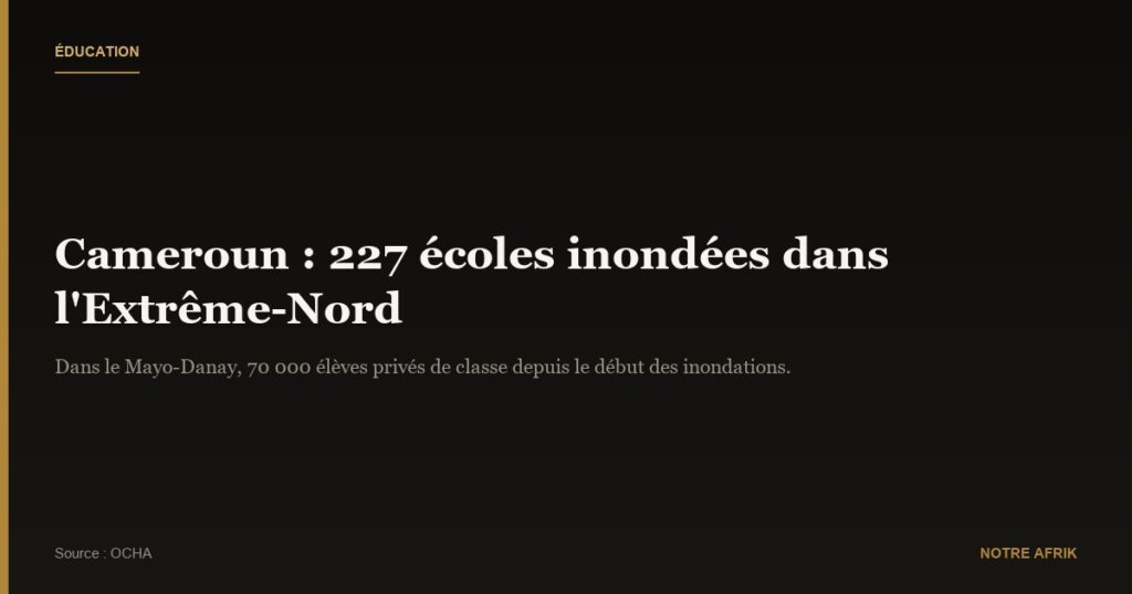 Cameroun : l’année scolaire menacée par des graves inondations dans l’Extrême Nord