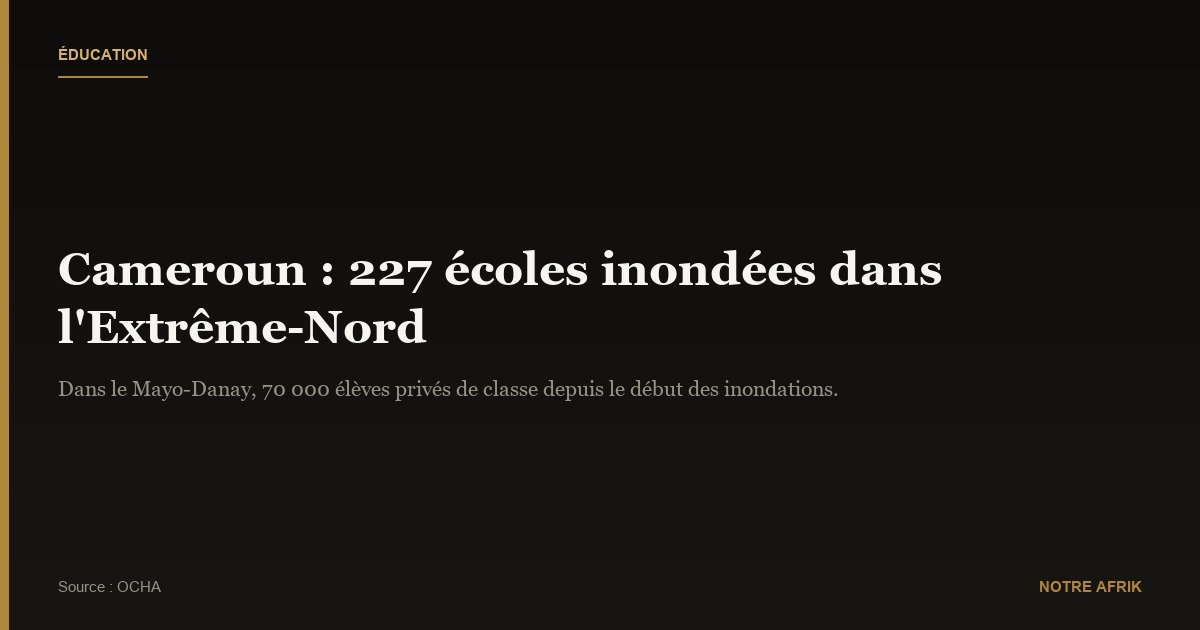 Cameroun : l’année scolaire menacée par des graves inondations dans l’Extrême Nord