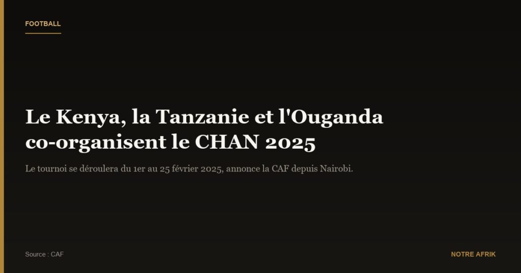 Football : trois pays vont co-organiser le Championnat d’Afrique des nations 2024