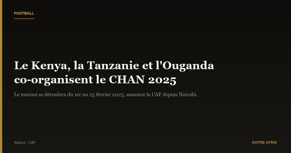 Football : trois pays vont co-organiser le Championnat d’Afrique des nations 2024