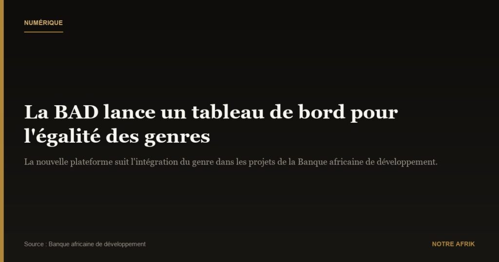 Numérique : la BAD lance un tableau de bord pour favoriser l'inclusion des femmes