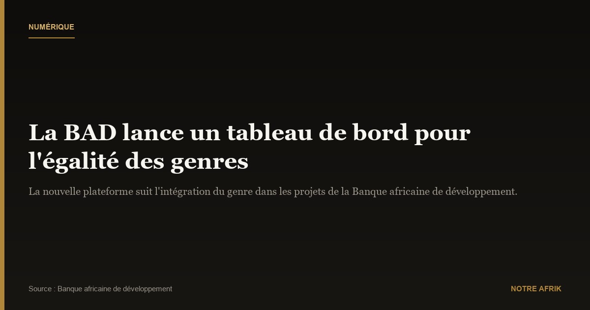 Numérique : la BAD lance un tableau de bord pour favoriser l'inclusion des femmes