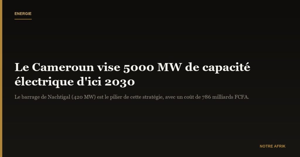 Energies : le Cameroun veut augmenter de 3000 MW sa capacité électrique d'ici 2030