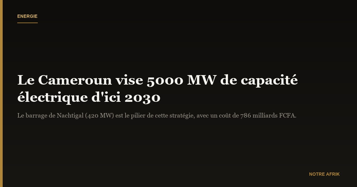 Energies : le Cameroun veut augmenter de 3000 MW sa capacité électrique d'ici 2030