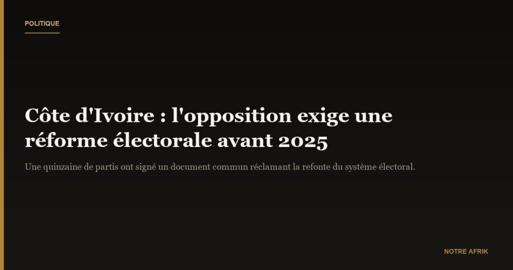 Côte d'Ivoire : l'opposition réclame des réformes majeures du processus électoral
