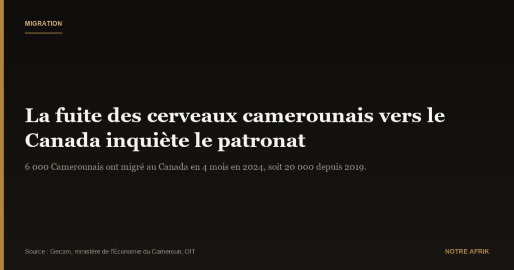 Cameroun : la fuite des cerveaux vers le Canada inquiète