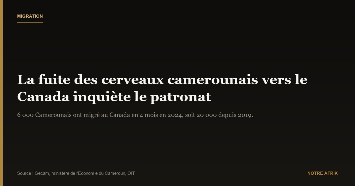 Cameroun : la fuite des cerveaux vers le Canada inquiète