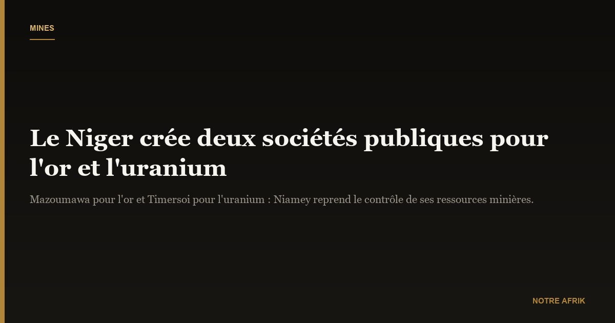 Niger : le gouvernement crée deux sociétés pour gérer la production d'or et d'uranium