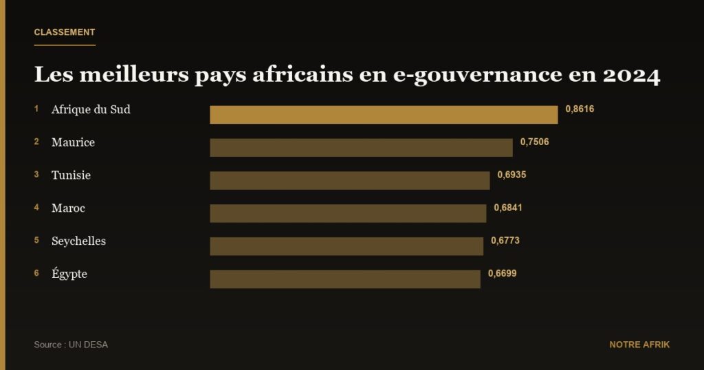 Numérique : trois pays africains parmi les leaders mondiaux de l'e-gouvernance