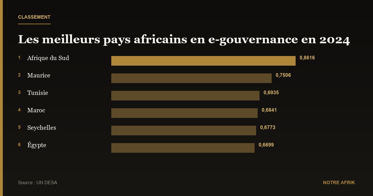 Numérique : trois pays africains parmi les leaders mondiaux de l'e-gouvernance