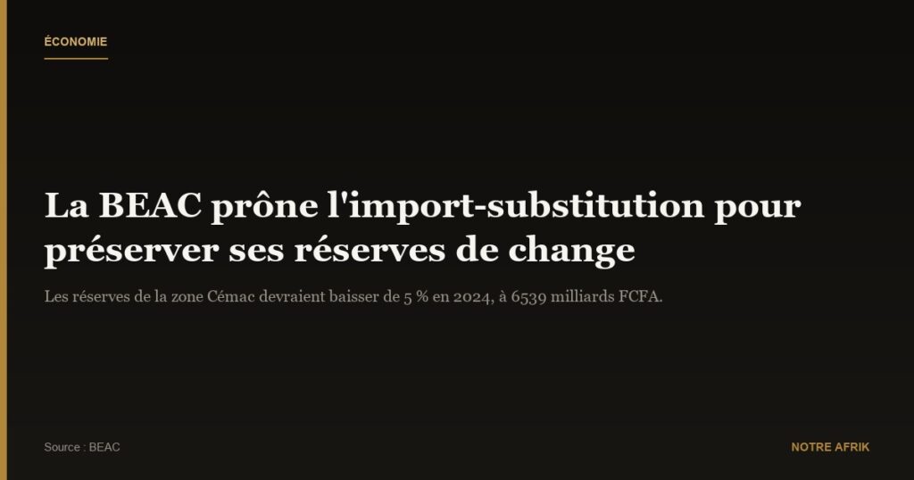 Échanges commerciaux : la BEAC prône l'import-substitution pour réduire la dépendance des États