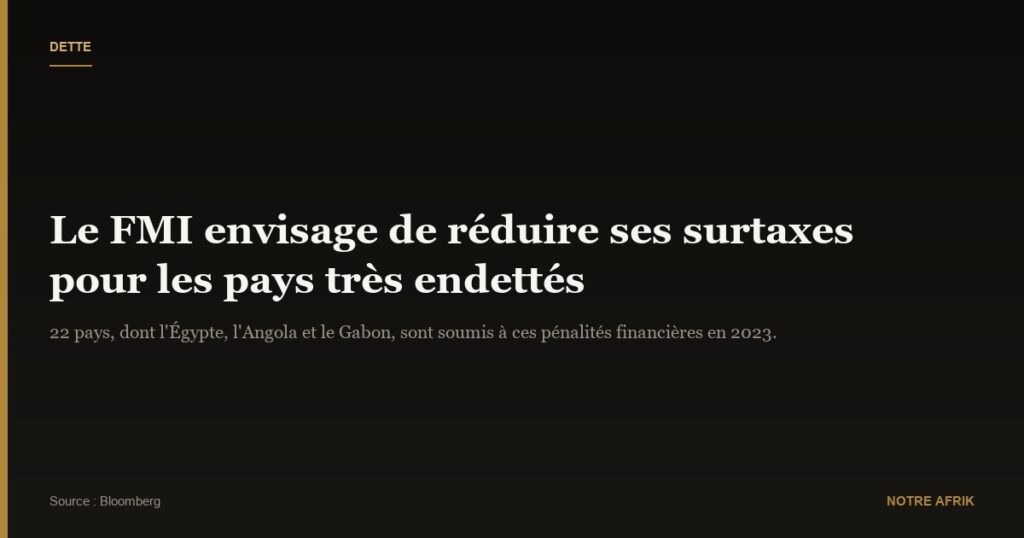 Emprunt : le FMI veut réduire les surtaxes pour les pays qui ont plus de 187,5 %