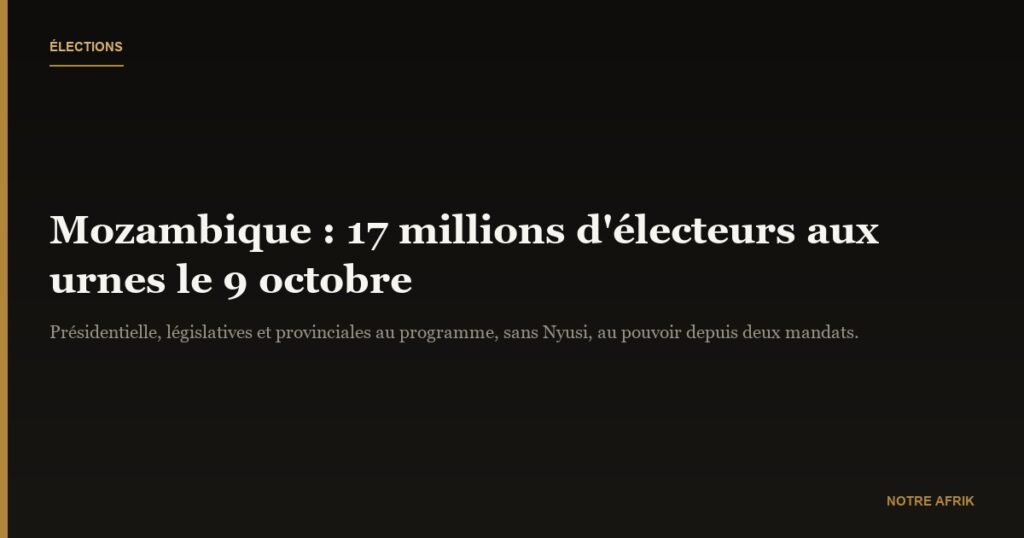 Mozambique : près de 17 millions d'électeurs attendus aux urnes ce mercredi 9 octobre