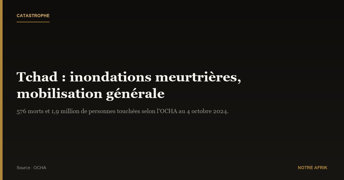 Tchad : mobilisation générale face aux inondations