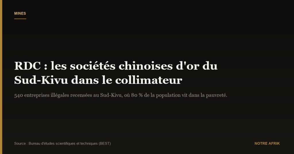 RDC : les sociétés chinoises qui exploitent les mines d'or dans le collimateur