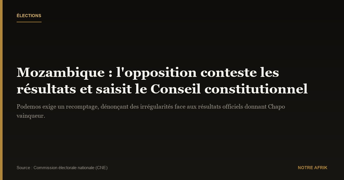 Mozambique : l'opposition demande un recomptage des voix