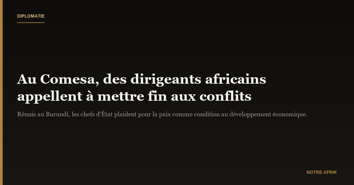 Afrique : des dirigeants exhortent à mettre fin aux conflits