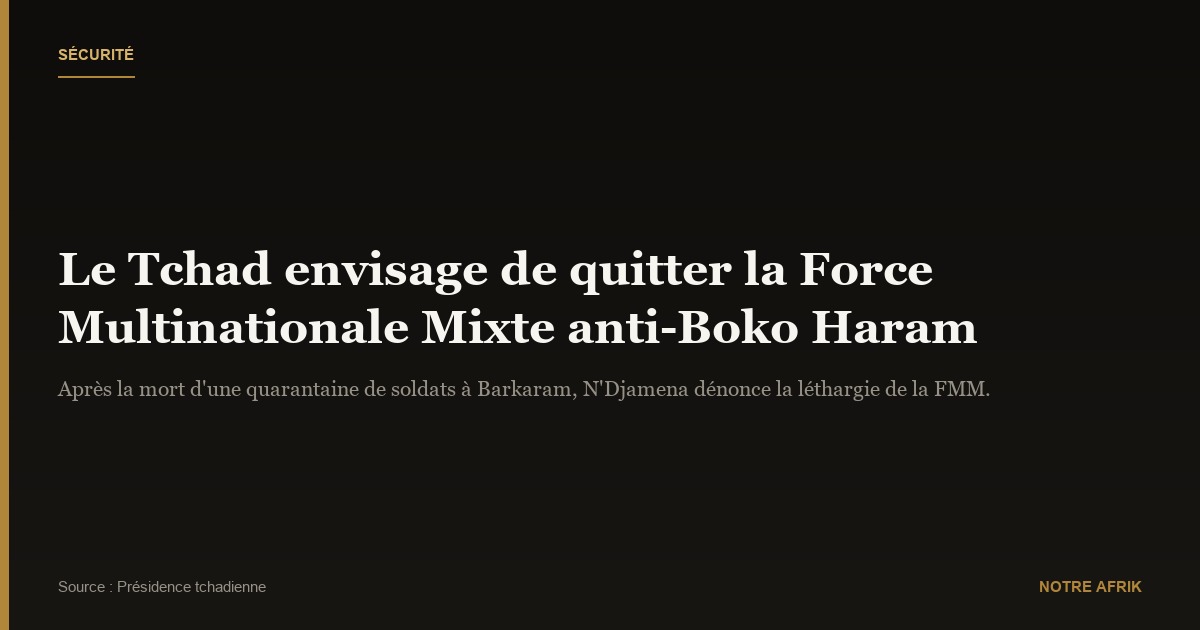 Lutte contre Boko : N'Djamena envisage un retrait de la Force Multinationale Mixte