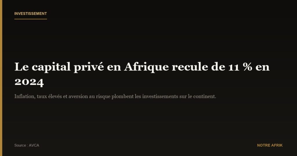 Afrique: le capital privé recule de 11 % en 2024