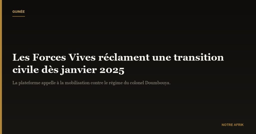 Guinée : les Forces Vives réclament une transition civile dès janvier 2025