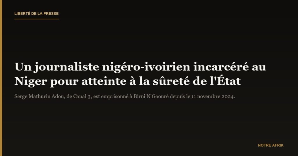 Niger : le journaliste Serge Mathurin Adou incarcéré pour «atteinte à la sûreté de l'État»