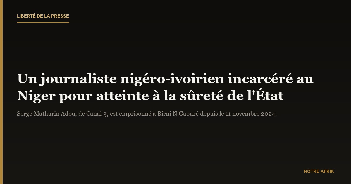 Niger : le journaliste Serge Mathurin Adou incarcéré pour «atteinte à la sûreté de l'État»