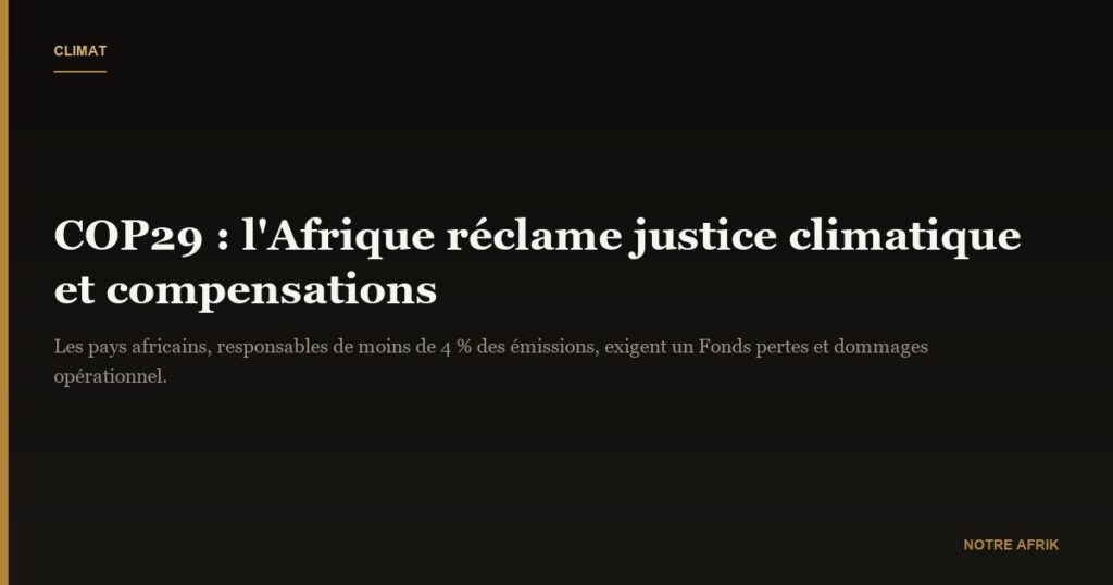 COP29 : l'Afrique demande une compensation pour les dégâts du réchauffement climatique