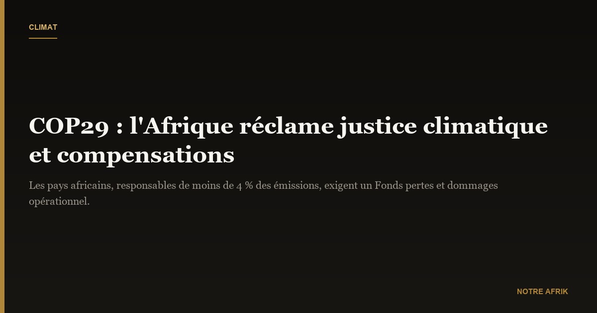 COP29 : l'Afrique demande une compensation pour les dégâts du réchauffement climatique