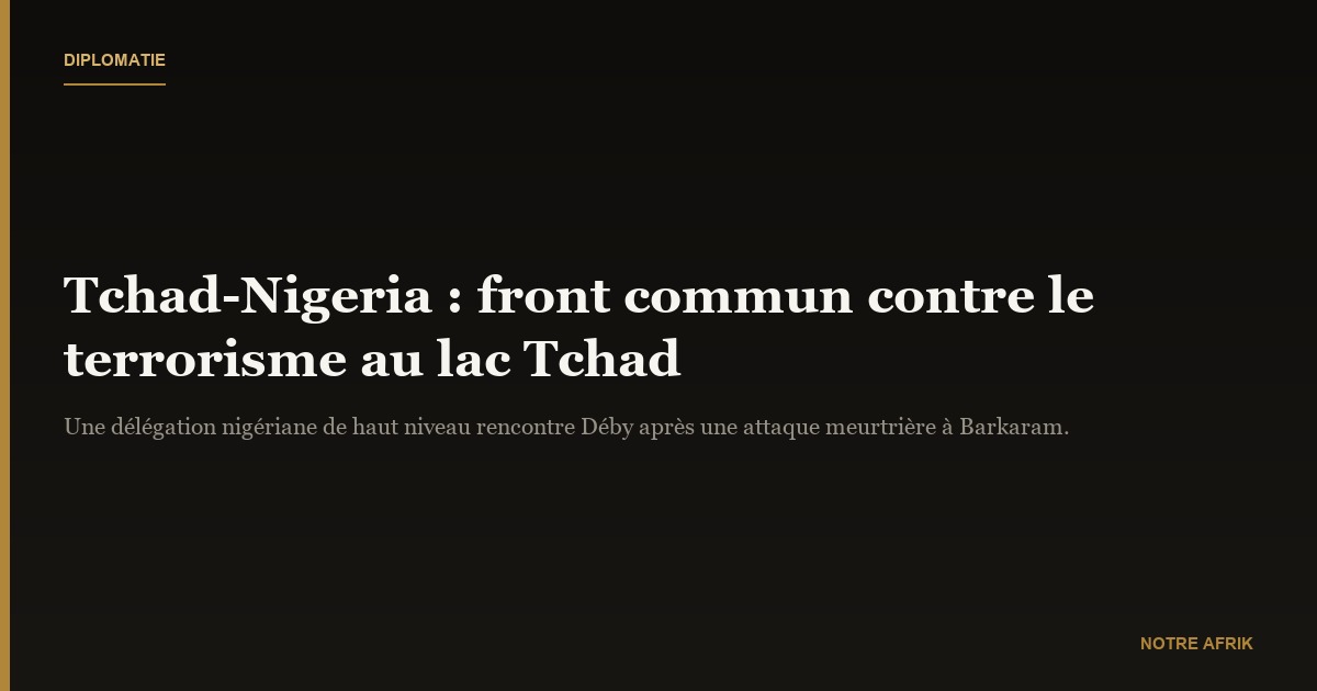 Tchad-Nigeria : un appel à la solidarité dans la lutte contre le terrorisme dans le Lac Tchad