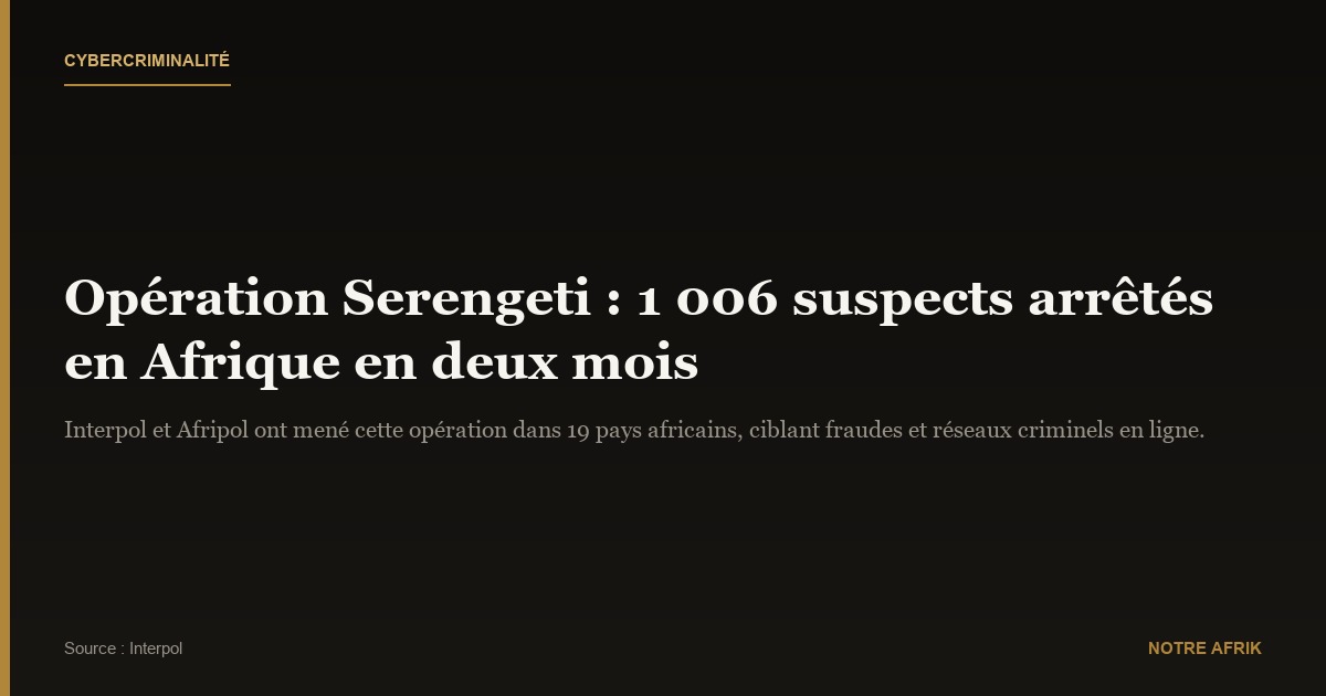 Cybercriminalité : 1 006 suspects arrêtés par Interpol en Afrique en deux mois