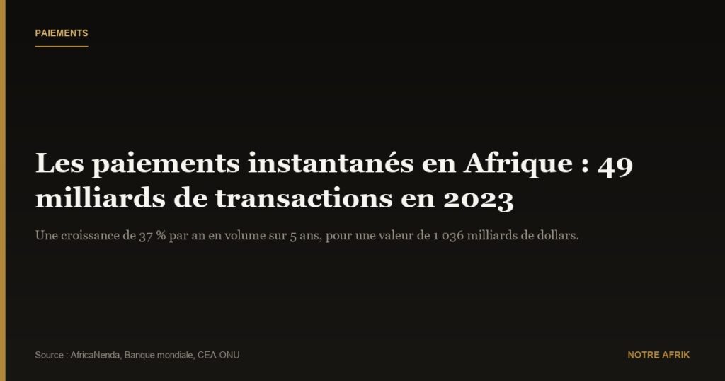 Afrique : les paiements instantanés totalisent 49 milliards de transactions en 2023