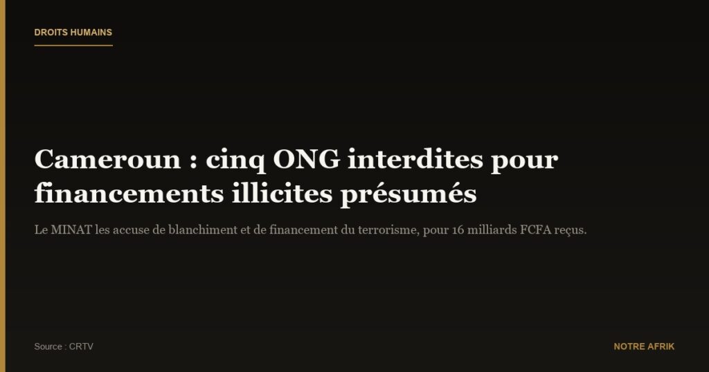 Cameroun : quatre ONG interdites d'exercer