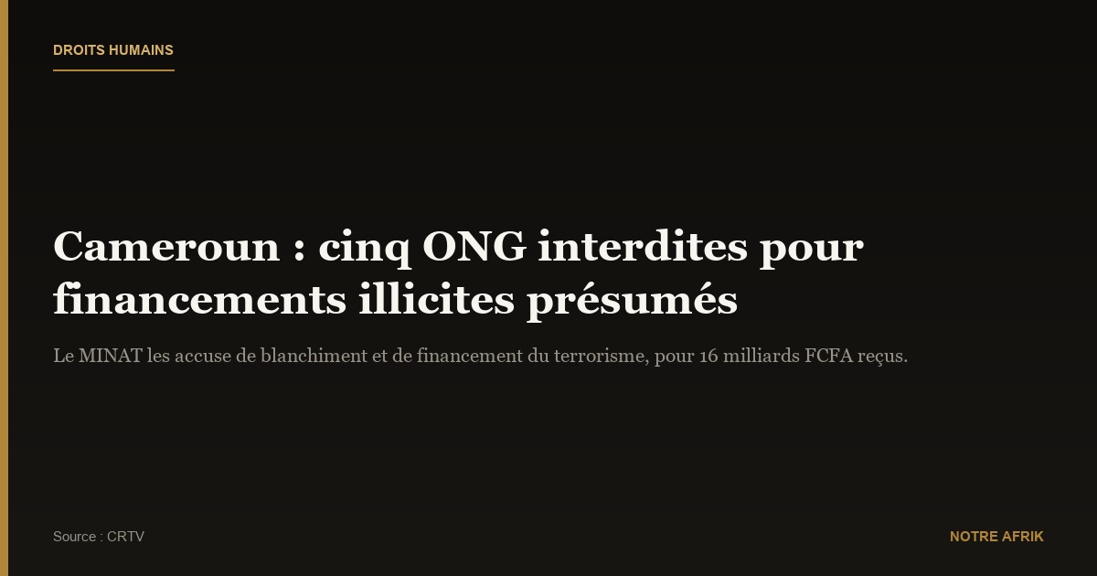 Cameroun : quatre ONG interdites d'exercer