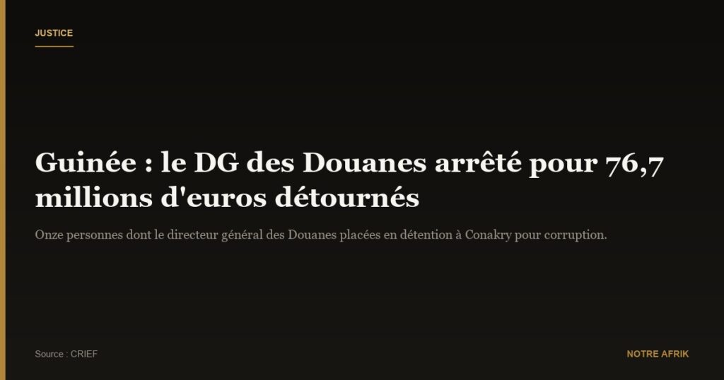 Guinée : le directeur général des Douanes aux arrêts pour détournements 