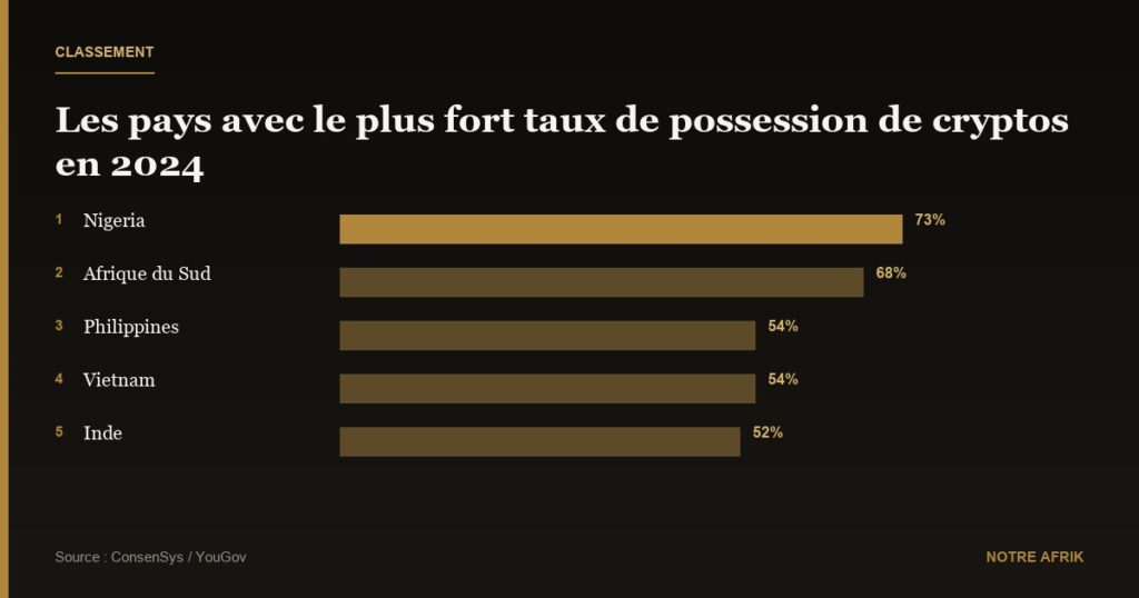 Cryptomonnaies : deux pays africains en tête du classement de possession mondial 2024