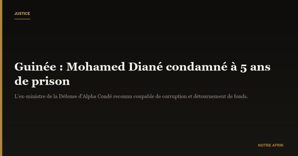 Guinée : l'ancien ministre de la Défense Mohamed Diané condamné à cinq ans de prison
