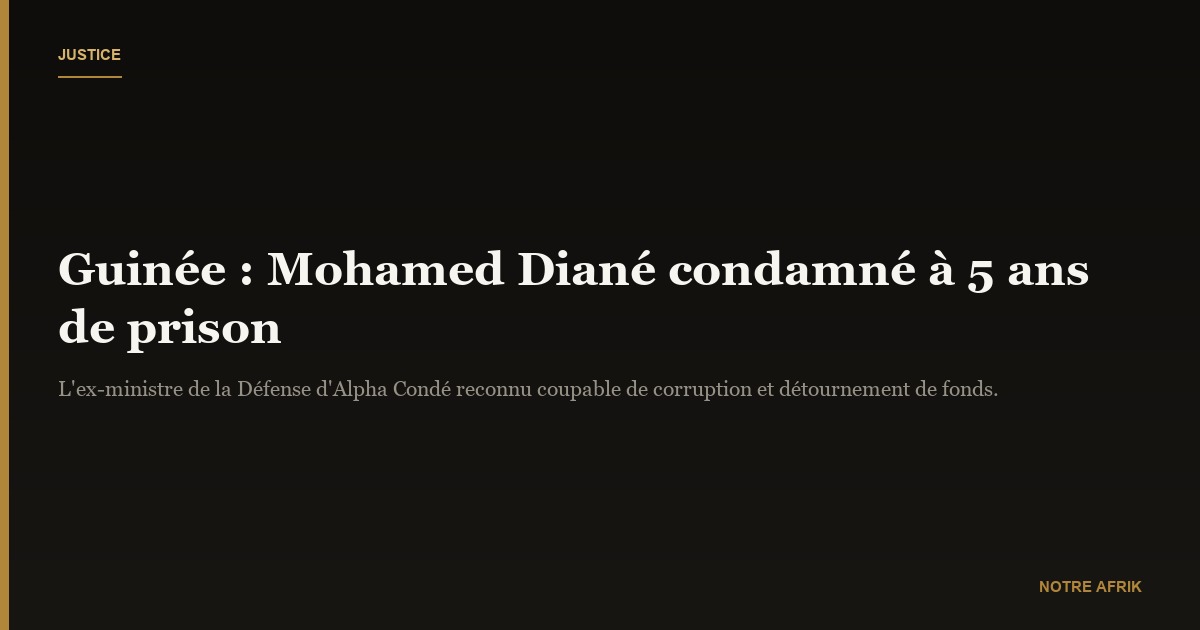 Guinée : l'ancien ministre de la Défense Mohamed Diané condamné à cinq ans de prison