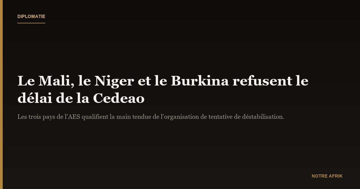 Sahel : le Mali, le Niger et le Burkina Faso désapprouvent le délai accordé par la Cedeao