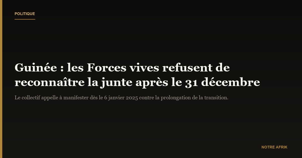 Guinée : les Forces vives s'opposent à l'extension de la transition