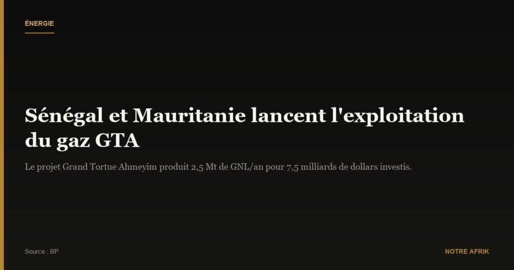Coopération : le Sénégal et la Mauritanie se lancent dans l'exploitation de gaz