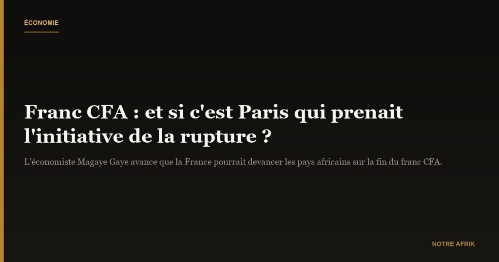 Magaye Gaye : « L’initiative de sortie du franc CFA pourrait venir de Paris »