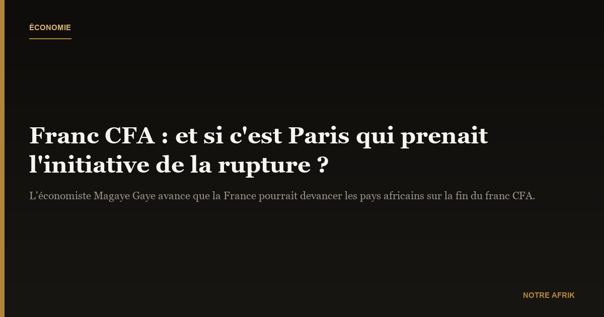 Magaye Gaye : « L’initiative de sortie du franc CFA pourrait venir de Paris »