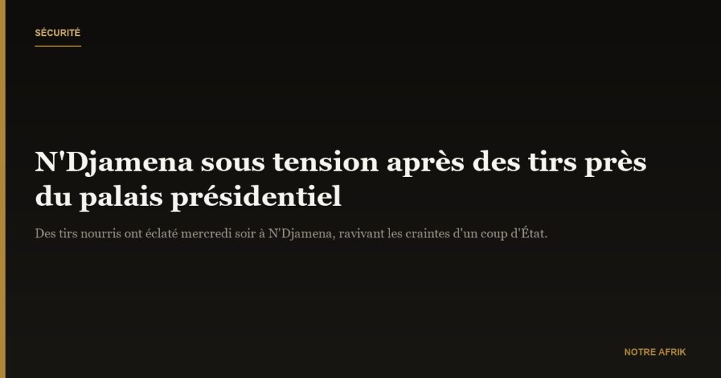 N'Djamena sous tension : des tirs près du palais présidentiel