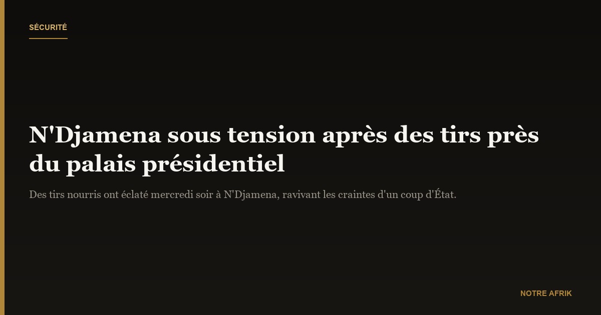N'Djamena sous tension : des tirs près du palais présidentiel