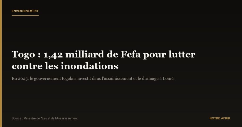 Togo : environ 1,5 milliard de Fcfa alloués pour lutter contre les inondations