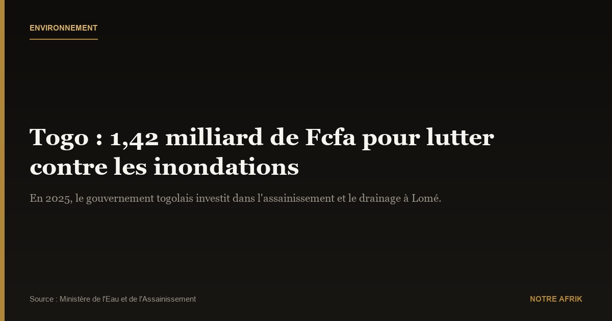 Togo : environ 1,5 milliard de Fcfa alloués pour lutter contre les inondations